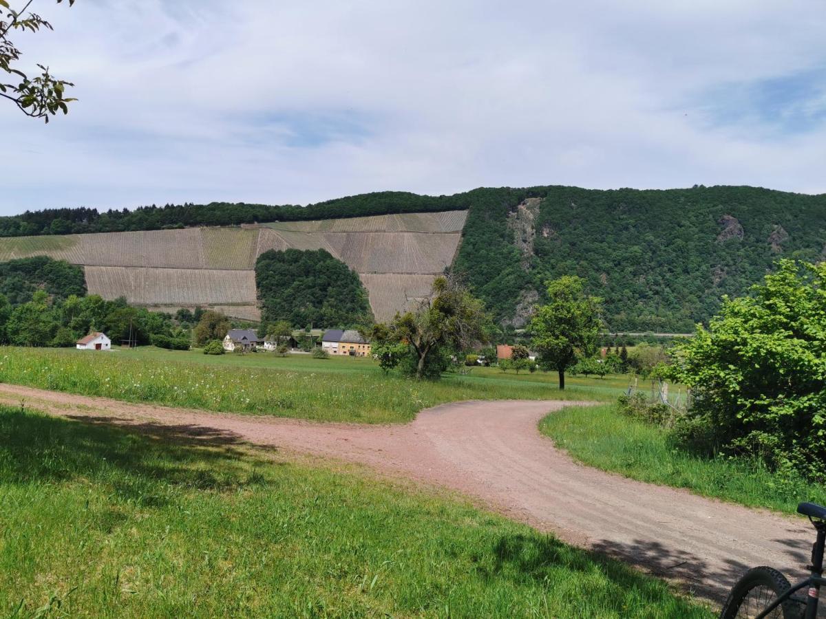 Gemuetliche 90 Qm Wohnung In Saarburg, Zentral Gelegen, Garten Mit Aussicht, Separater Eingang Exteriér fotografie